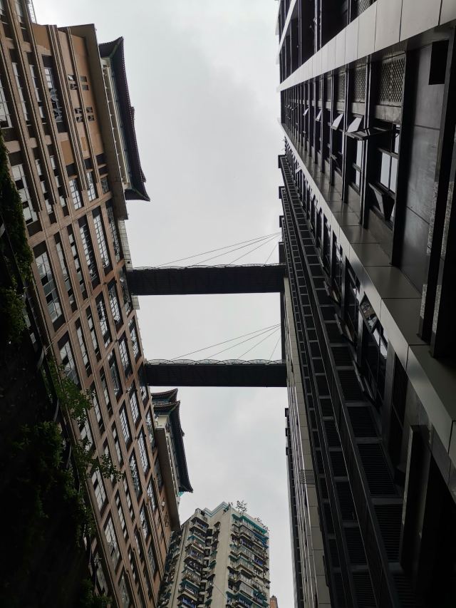 魁星楼旅行图片 1