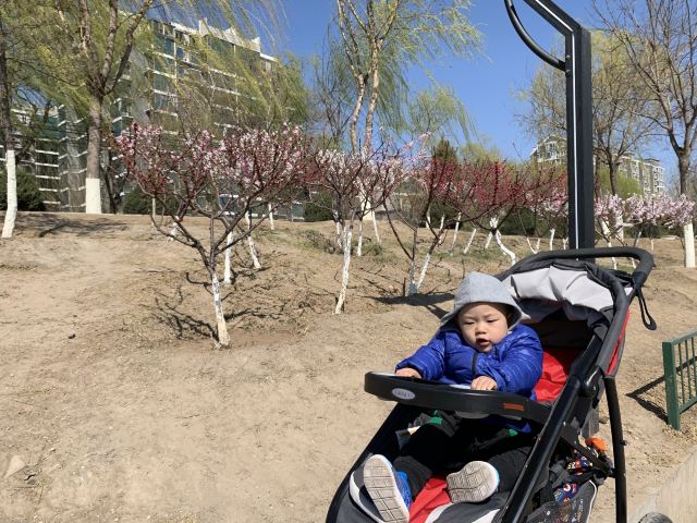 顺义公园旅行图片 3