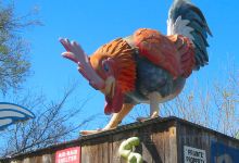 Roadhouse Relics景点图片