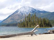 Lake Wenatchee State Park-奇兰县