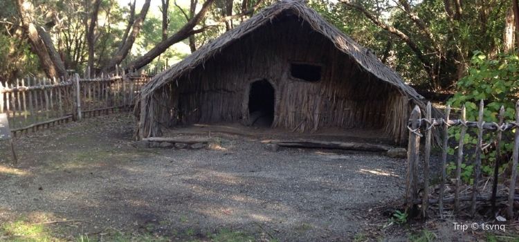 Rewa S Village Travel Guidebook Must Visit Attractions In