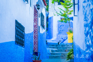 舍夫沙万游记图文-这个摩洛哥的蓝城有什么神奇，吸引了国人万里奔袭