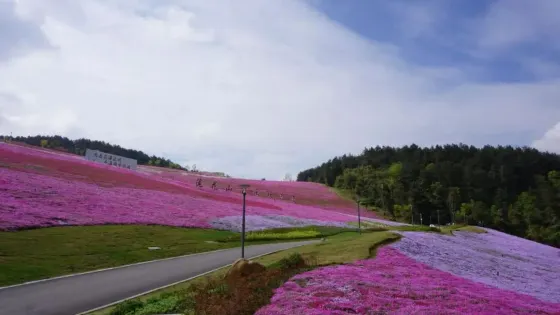 蓮花山公園