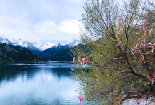 定海神针景点图片