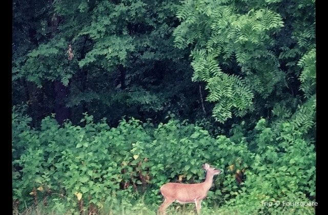 Tims Ford State Park Tickets Deals Reviews Family Holidays