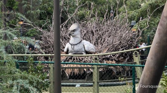 Flight of the Hippogriff