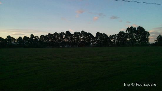 Riccarton Park Golf Complex