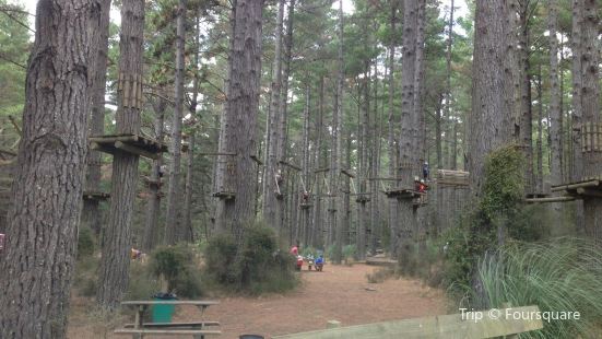 Tree Adventures