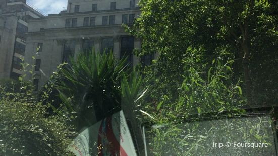 Parsonage Gardens