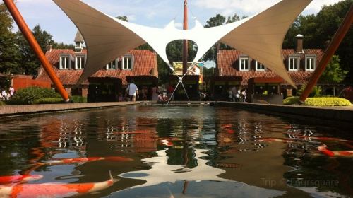 Oss Attractions Photo Gallery