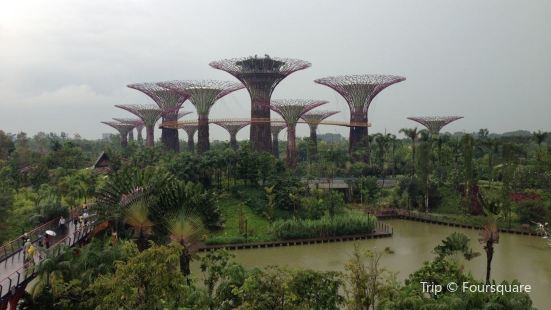 OCBC Skyway
