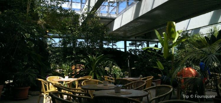Biosphare Potsdam Travel Guidebook Must Visit Attractions In