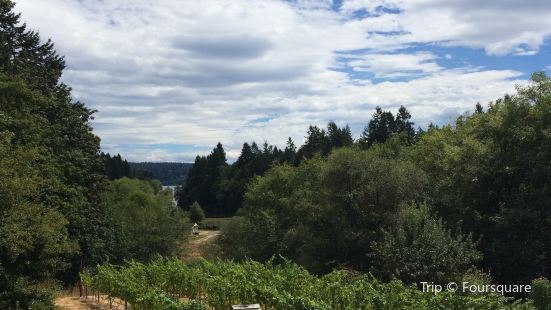 Banner Forest Travel Guidebook Must Visit Attractions In Kitsap
