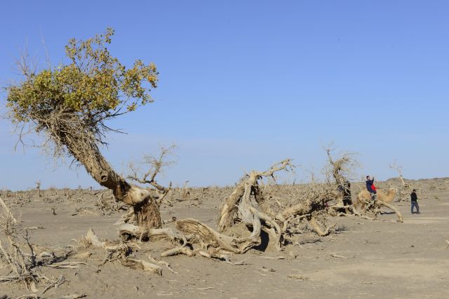 흑성약수호양풍경구 Attractions - 아라산 Travel Review -2019년 6월 20일Travel Guide