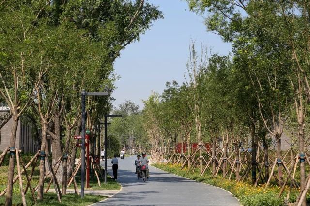 奥北森林公园二期北区旅行图片 3