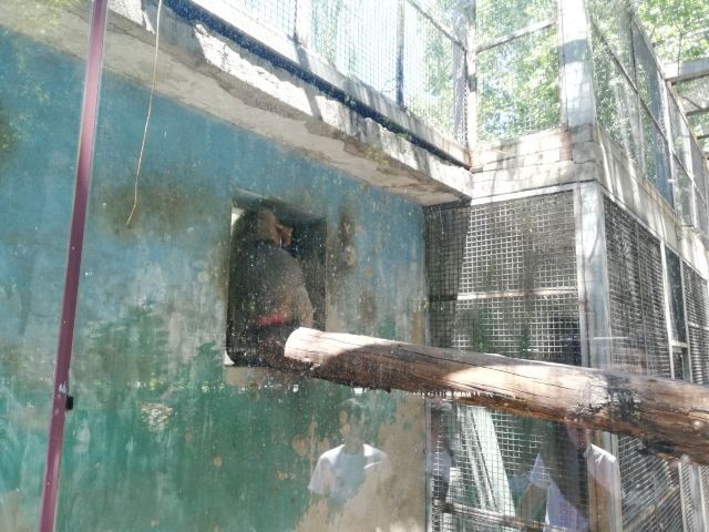 Beijing Zoo