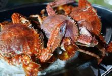 下川岛老杜海鲜餐厅美食图片