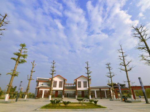 田东县城西湿地公园