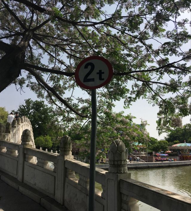 琴台小森林旅行图片 4