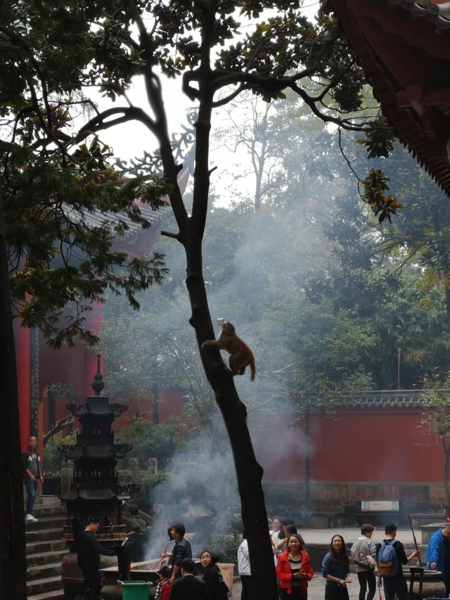弘福寺