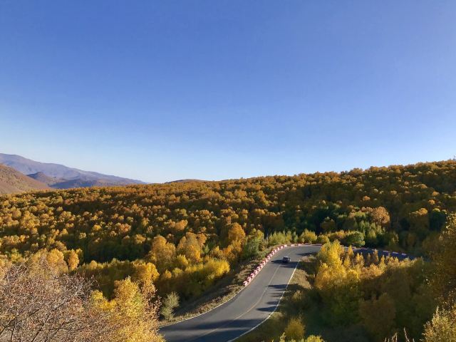 黄岗梁国家森林公园旅行图片 1
