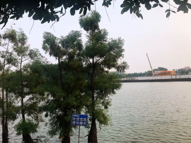 北滘公园旅行图片 5