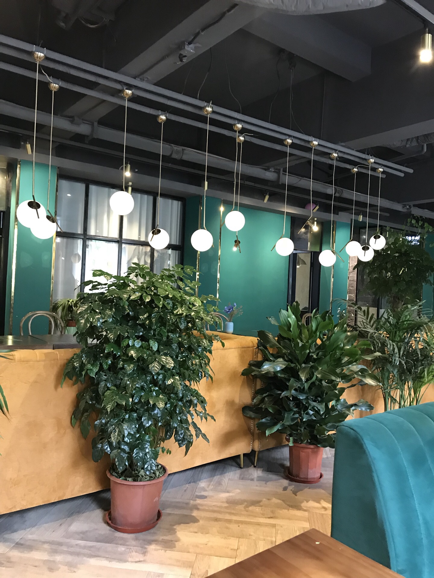 林语咖啡餐厅图片