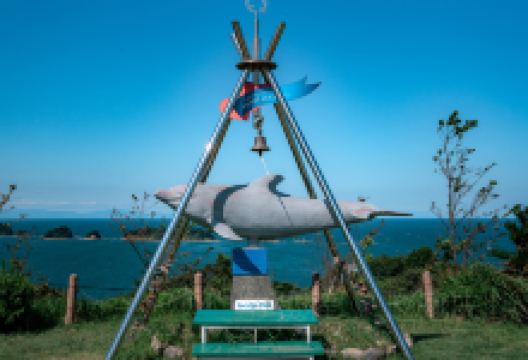 海豚岛景点图片