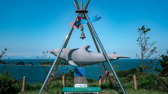 海豚島