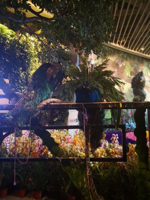 花之城