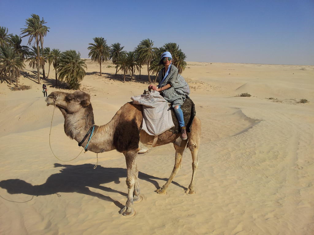 这可是撒哈拉的门户哦，由它一直往西南就进入传说中的撒哈拉了。而且，这里有我最喜欢的环节，骑骆驼和沙漠