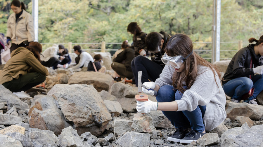 福井縣立恐龍博物館
