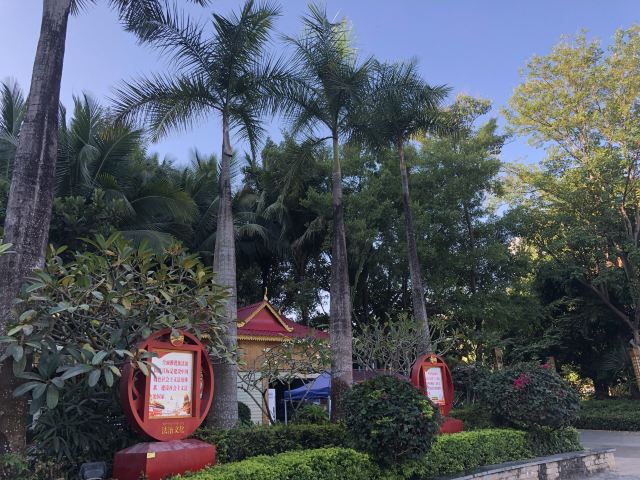 西双版纳滨江公园旅行图片 4