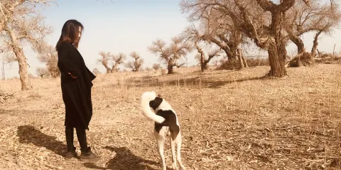 來利勒克遺址（且末古城）