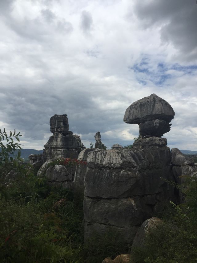 乃古石林风景区旅行图片 4