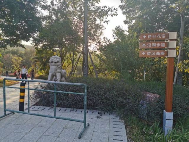 金钟水库旅行图片 7