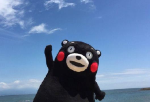 佐伯市旅游图片-3日别府·汤布院温泉+追寻熊本部长+火山地质奇景