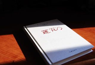 墨脱,莲花盛开的地方,和那个叫苏内河的姑娘