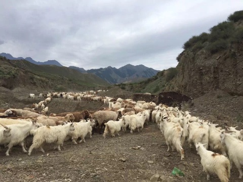 喀拉峻牧业村