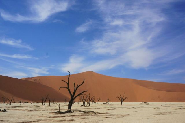 Namib-Naukluft National Park