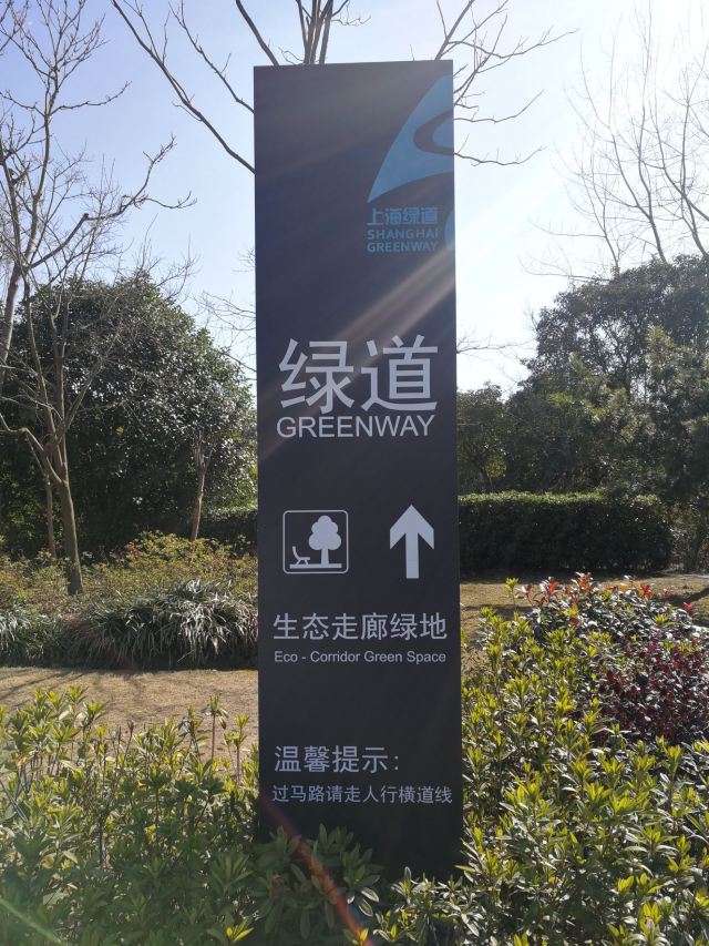 新江湾湿地生态观鸟拍鸟基地旅行图片 5