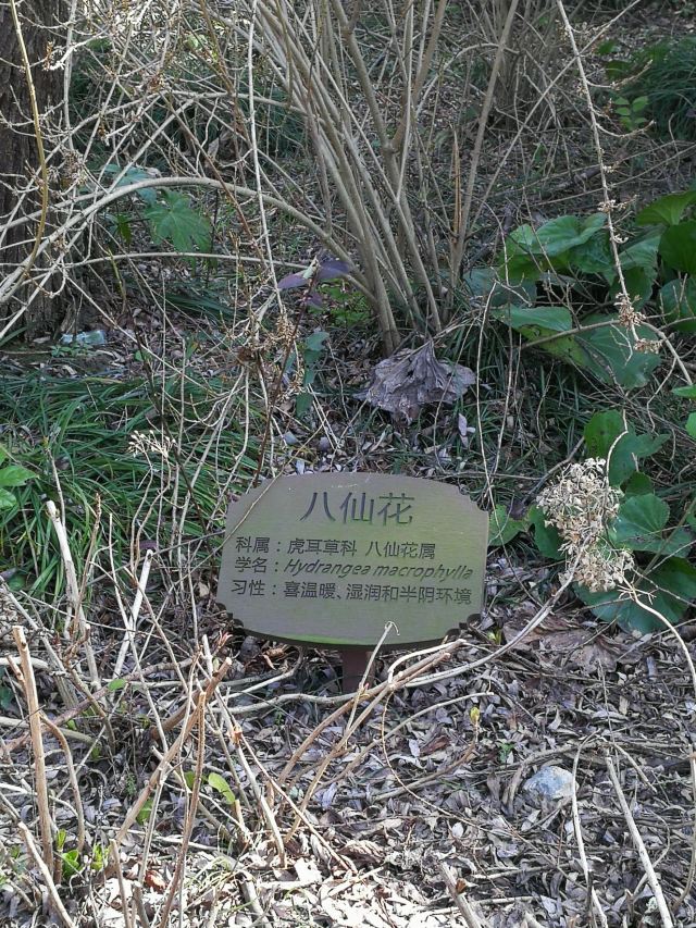 新江湾湿地生态观鸟拍鸟基地旅行图片 10