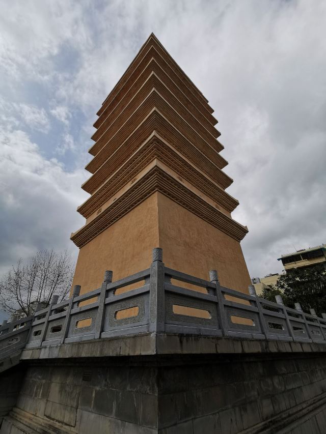 东寺塔茶花园旅行图片 2