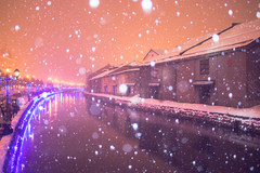 北海道游记图片] 日本北海道绝美冬日之旅，吃一顿肥美海鲜，赏一场小樽之雪