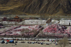 玉树藏族自治州游记图片] 世界上最大嘛尼石堆（晒经石），多达25亿块，每块石头都有特殊的意义