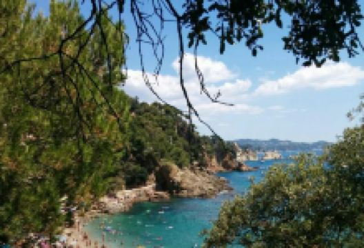 Cala Bona美食图片