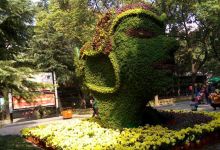 周黑鸭(中天街商亭店)美食图片