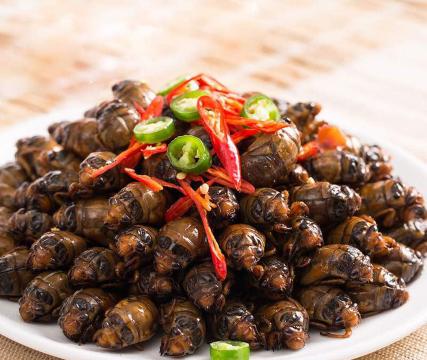 阳阳中国饭(狼垡店)