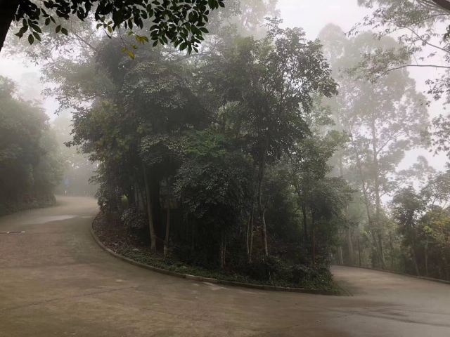 小南山公园旅行图片 3