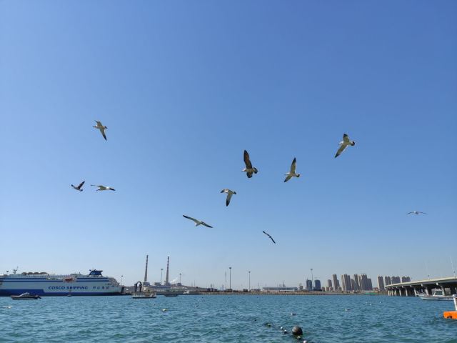 滨海公园旅行图片 4